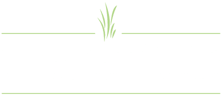 The Dentists' Office 